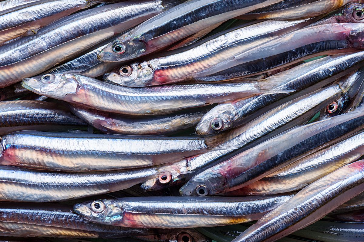 ���������� �������: ������� ��� ���������� ����������