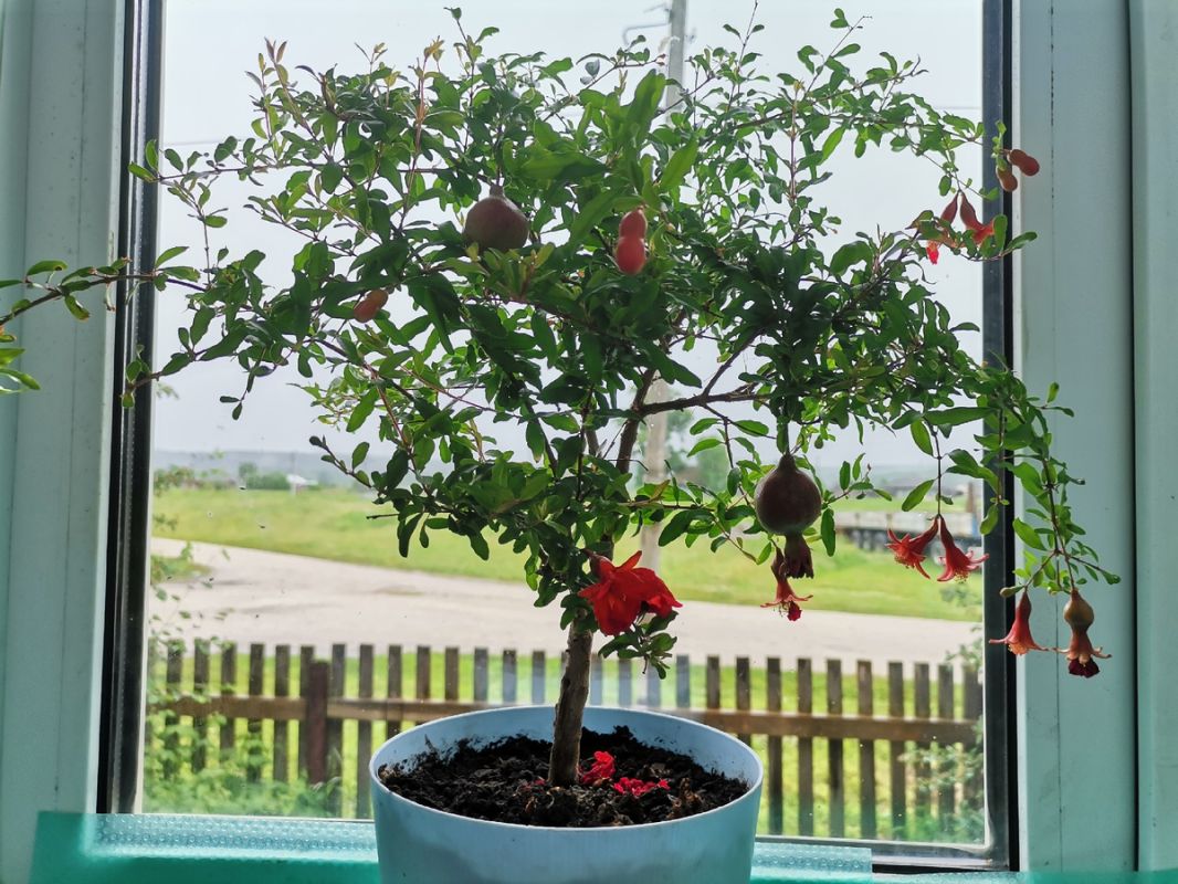 ����������� ��� � ����� �� �����