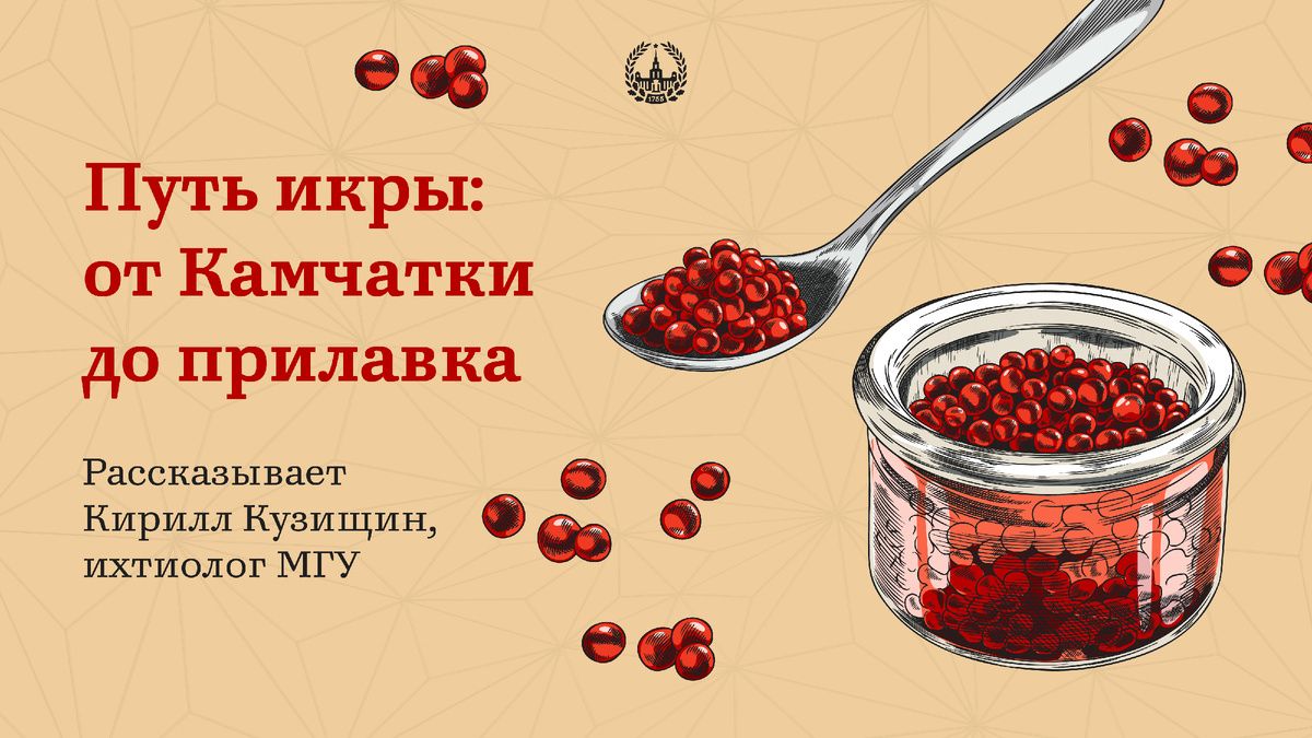 Икра: больше чем просто деликатес