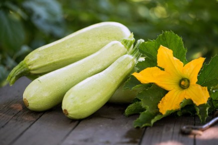 Нежные оладьи из кабачков с чесноком: легкость и вкус в каждой порции