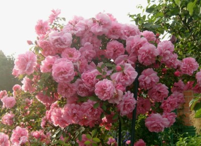 ������������� � ����������� ����: ����� 25 ������ ��� ������ ����