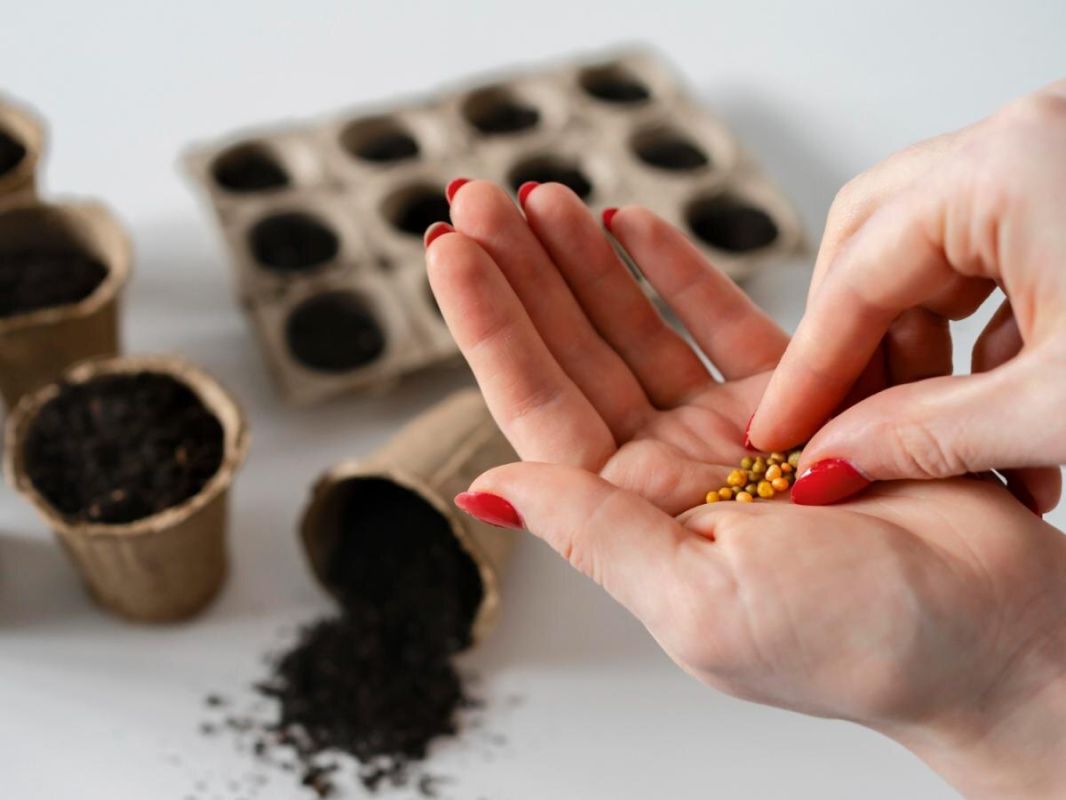 ���������� ��������� �����: ������������� ���� � ������� �������