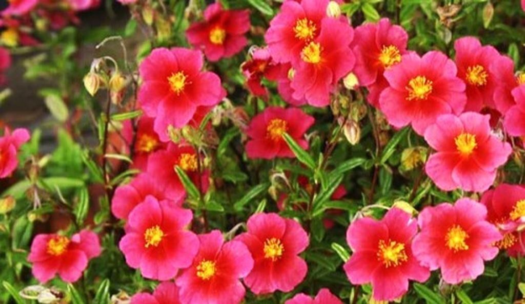 ����� ��� ������ ����: ������ �������� ��� ������ � ����