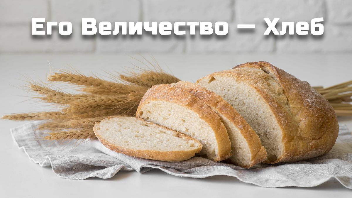 ����: ������ ����� � �������� �������