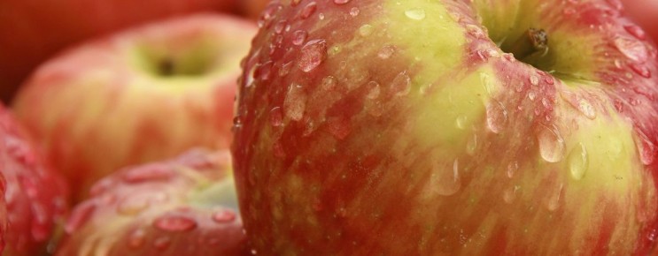 ����: ��� ������� ��������� ������� ��� ����