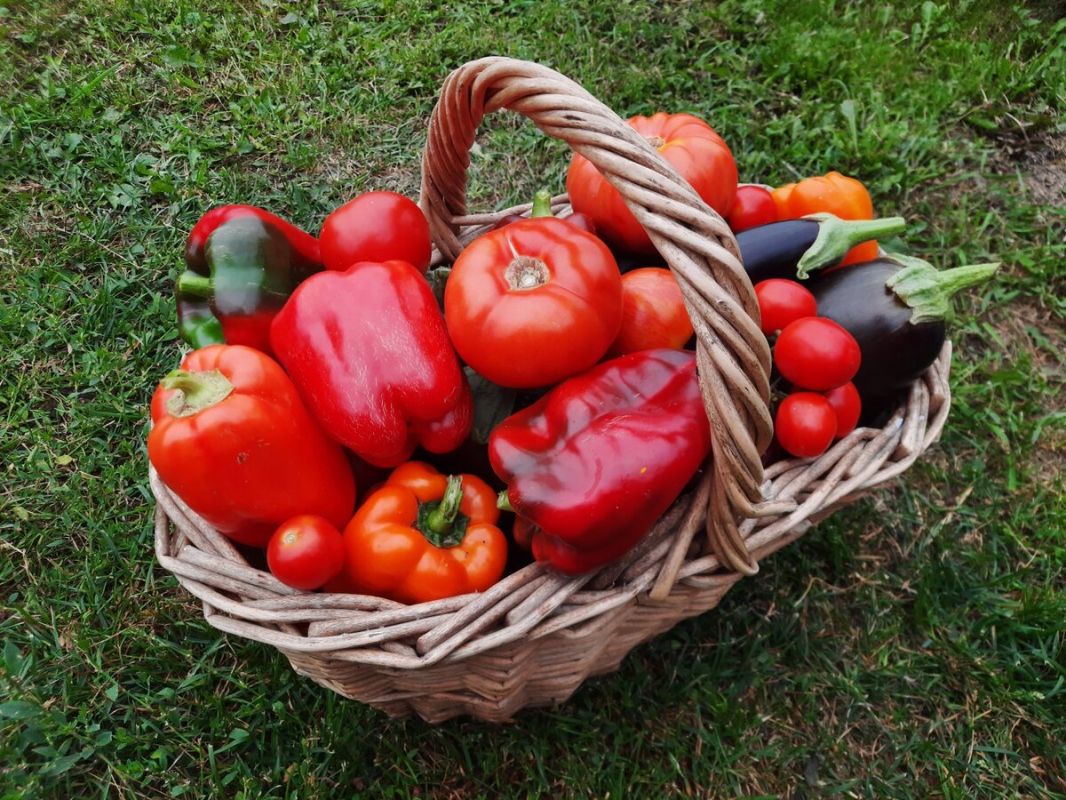 ��� ��������� �����, ������� ������ ����������: ������ �� ������� ��������