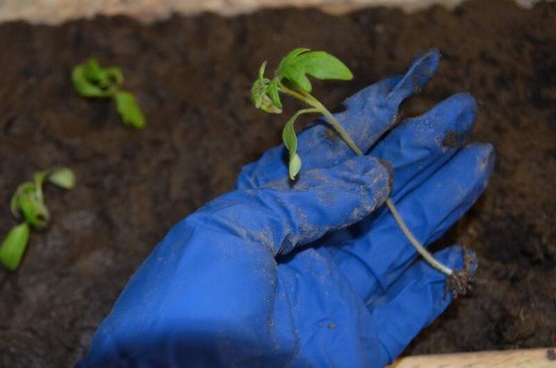 ��� ������ ������� ������� �� ������ �����: ������ � ������������