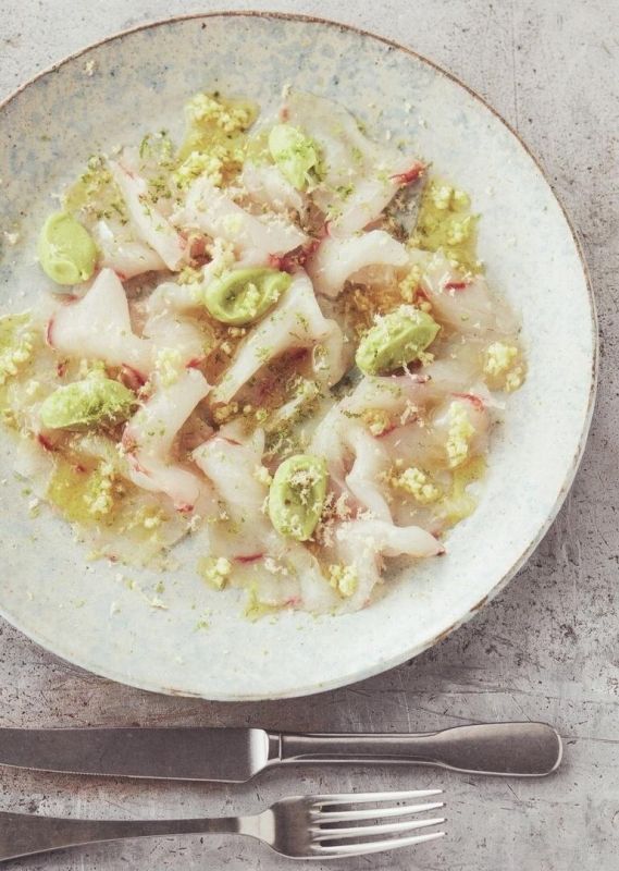 ������ �������� �� ����� ����: ������� � �������