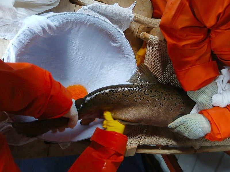 �� ������� ���������� ������ ���������� ������ �� ����������� �����