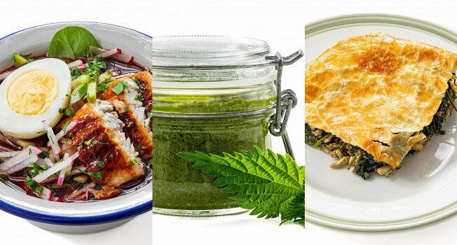 ���������� ���� ��� ���� � ��������, ������� ������ ����� ������