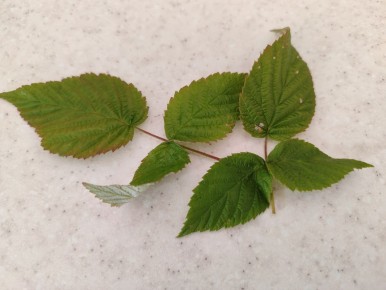 ������ ���������: �������� ������������ ������� �� ��������� ���� � �������