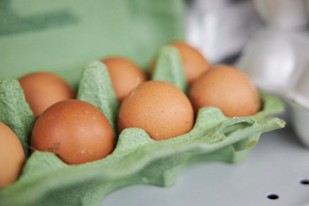 ���� � ���� ��� �������: ������ �������� � ������� ��������