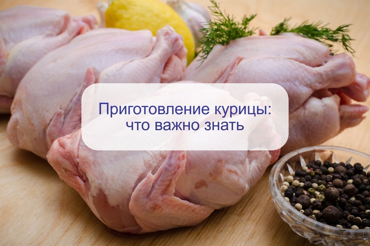 Что скрывает магазинная курица: мифы и реальность о гормонах и антибиотиках