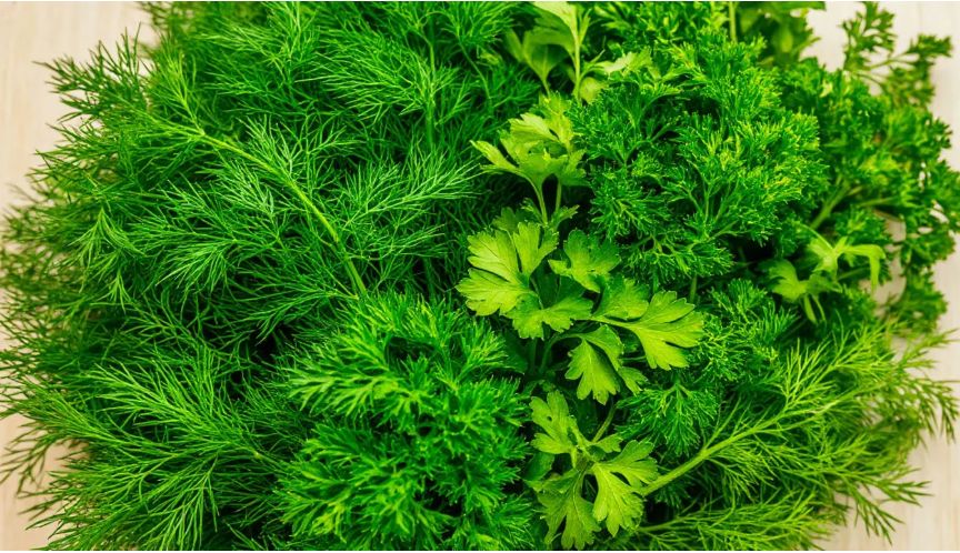 ��� ��������� ������ ������ �� ����: ����������� ������� ���������