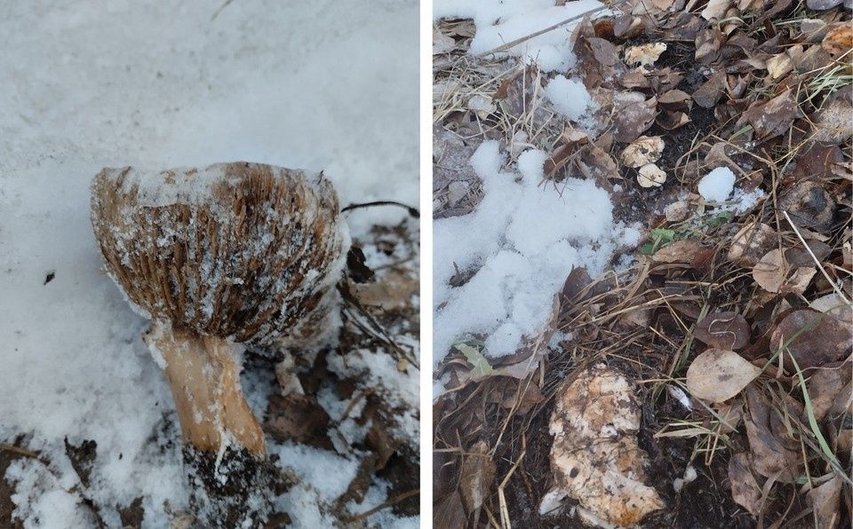 ����� ��� ������: ����������� �������� ��������� � ������ ����