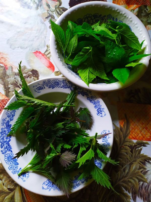 ��� ����������� ���� �� ������ � ��������: ��������� ������ �� ������ ����