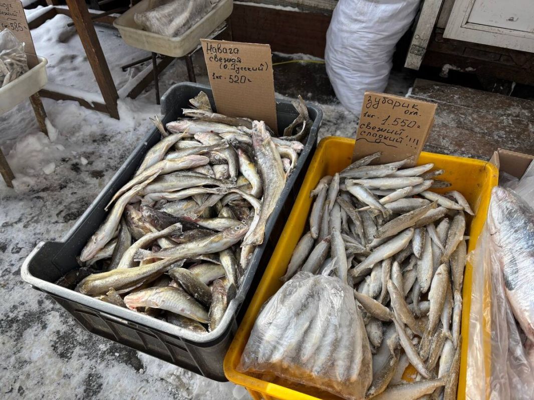 ����� ������ ����: ��� �������� ������� � ���� ����?