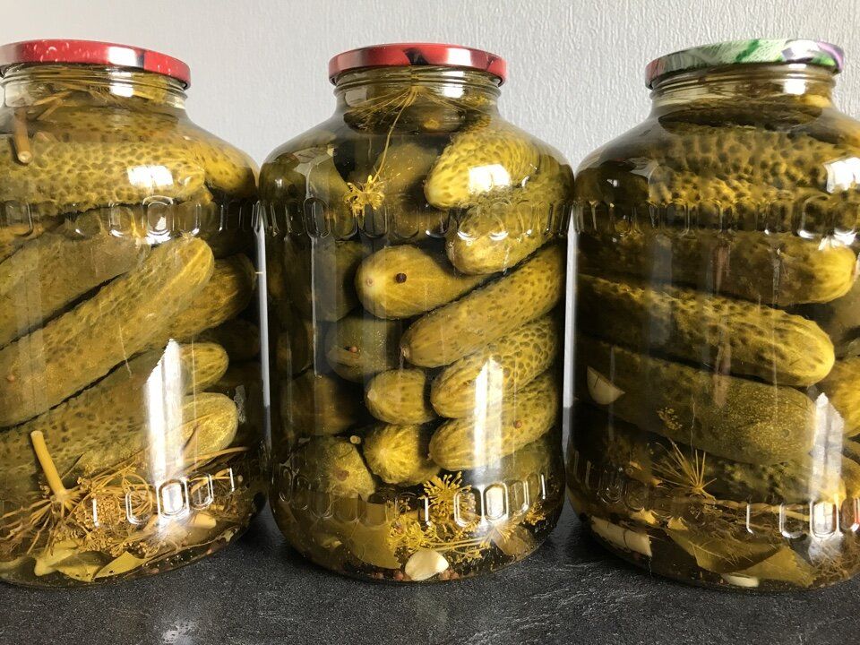 ������������ ������ ��������� ������������ ������� �� ����