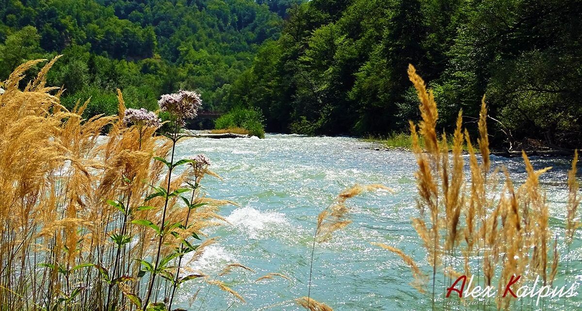 ������������ ������ ������: ���� ���� � ���������� �����