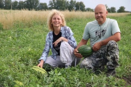 ������ �� ������: ��� ����������� �������� ����� ������� ����