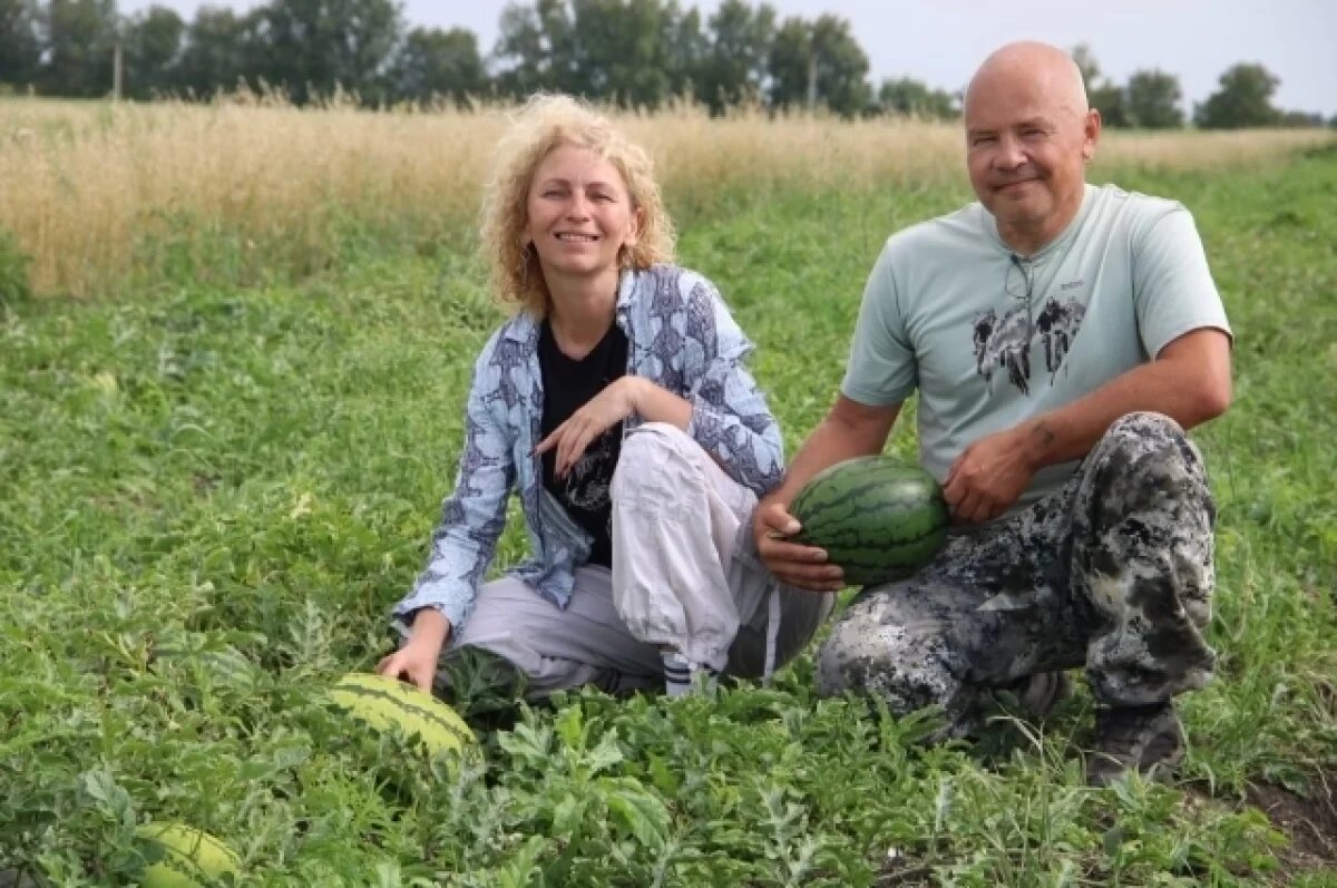 Арбузы из Сибири: как Велиткевичи покорили рынок сладких ягод