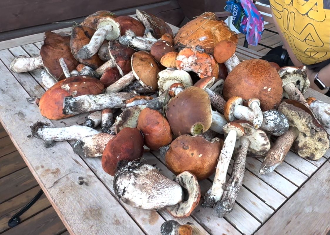 ��� ��������� �������� �����: ������ �� ������