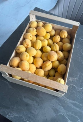 ��� �������� ����������� �� ���������� ������������