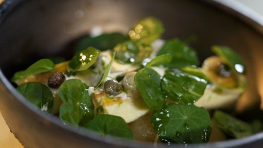 ������ �����, ������� ������� ���� �������� ���������