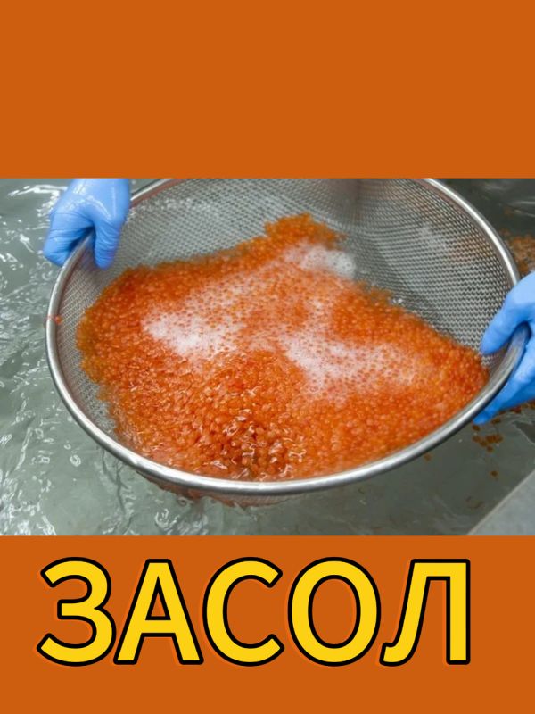 ��� ��������� �������� � ������� ����: ������� ��������� ����������