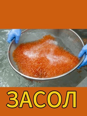 ��� ��������� �������� � ������� ����: ������� ��������� ����������