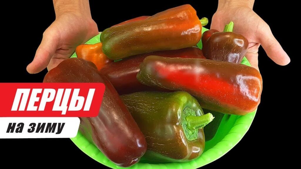 ��� ������ ���������� �����: ������������� ������ �� ����