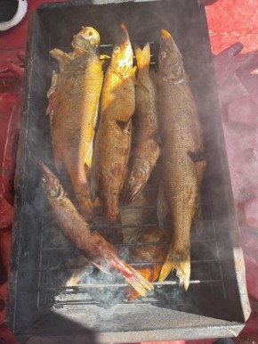 ������� ����� �� ������: ������� ������� �������� �� ���