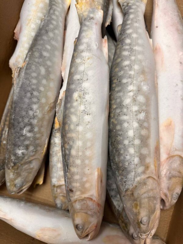 ������: ���������� ������� ������ �� ����� �����