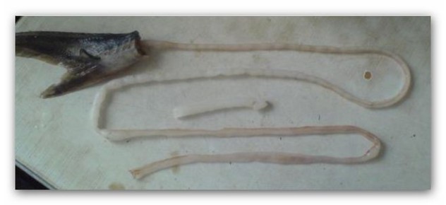 ����� � �������: ���������� �� ������� � ���������������� ��������