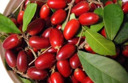 ��� �������� ����� �������� ����: ����� ���������� � ����������� �������