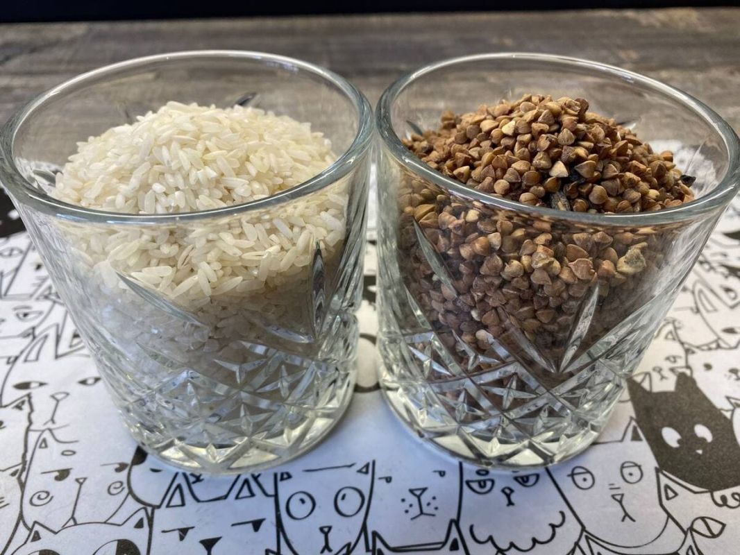 ���������� � ������ �����: ������� ������� ���� � �������