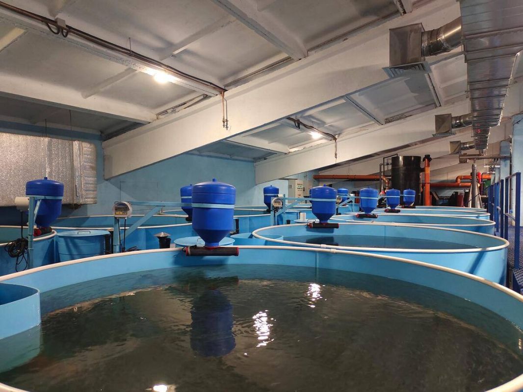 ������� ����: ���������������� ����� � ������������