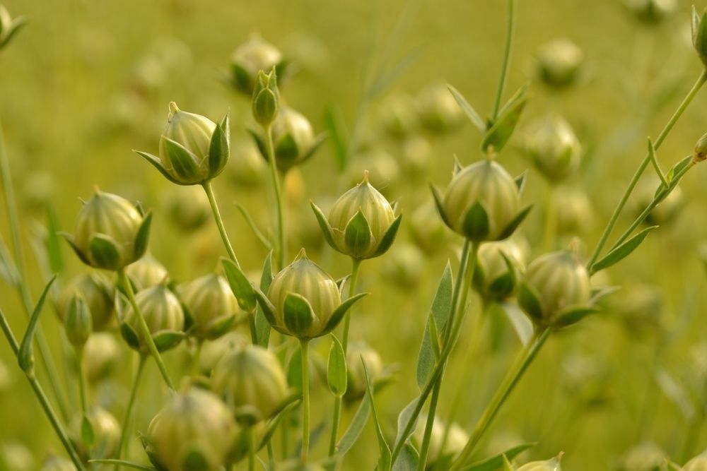 ������ ����: �������� �������� � ������������� �����