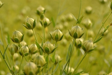 ������ ����: �������� �������� � ������������� �����