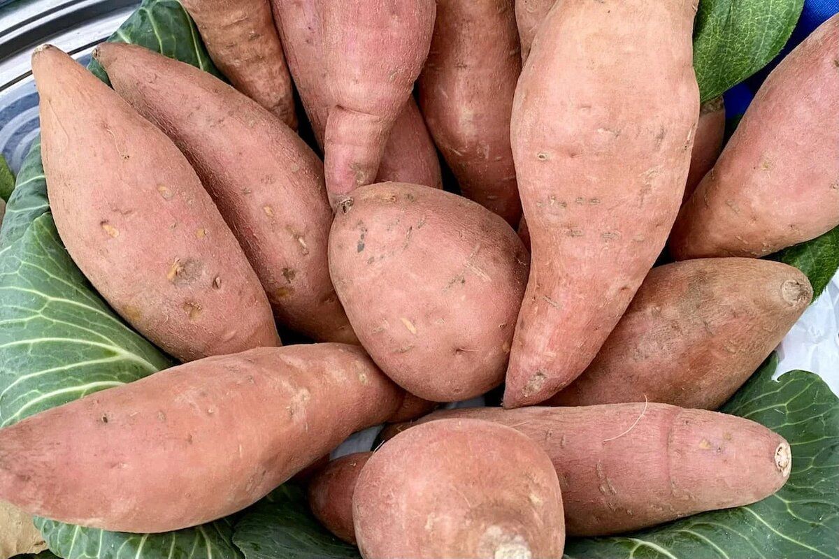 ������ ���������� ��� ��������: ��� �������