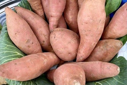 ������ ���������� ��� ��������: ��� �������