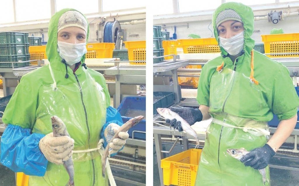 ������� ����: ��� ���� �������������� ������������ ���������� ����� � �������������