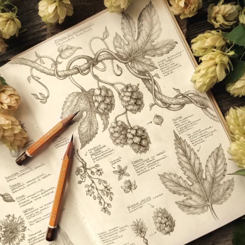 ����� ������������: ����� � ���������� ������������ �����