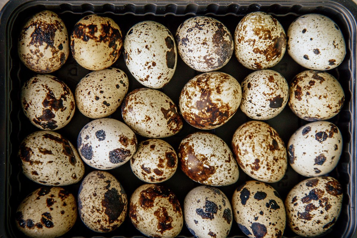 ���������� �����: ��� ������ ������ ���� �� �����