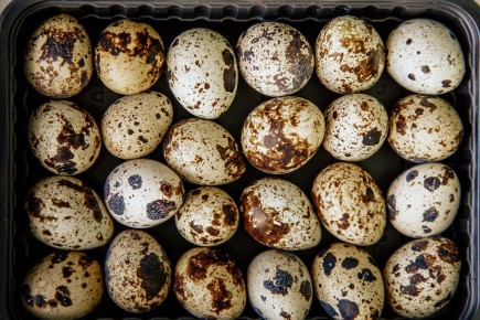 ���������� �����: ��� ������ ������ ���� �� �����