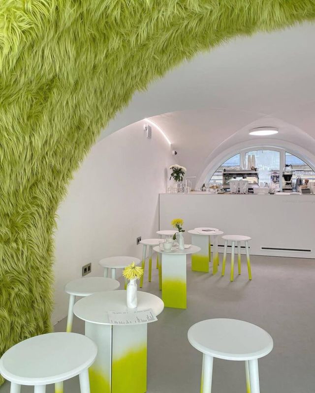 ������ ����-������� Fjord �� ���������: �����, ���� � ���������� ���������