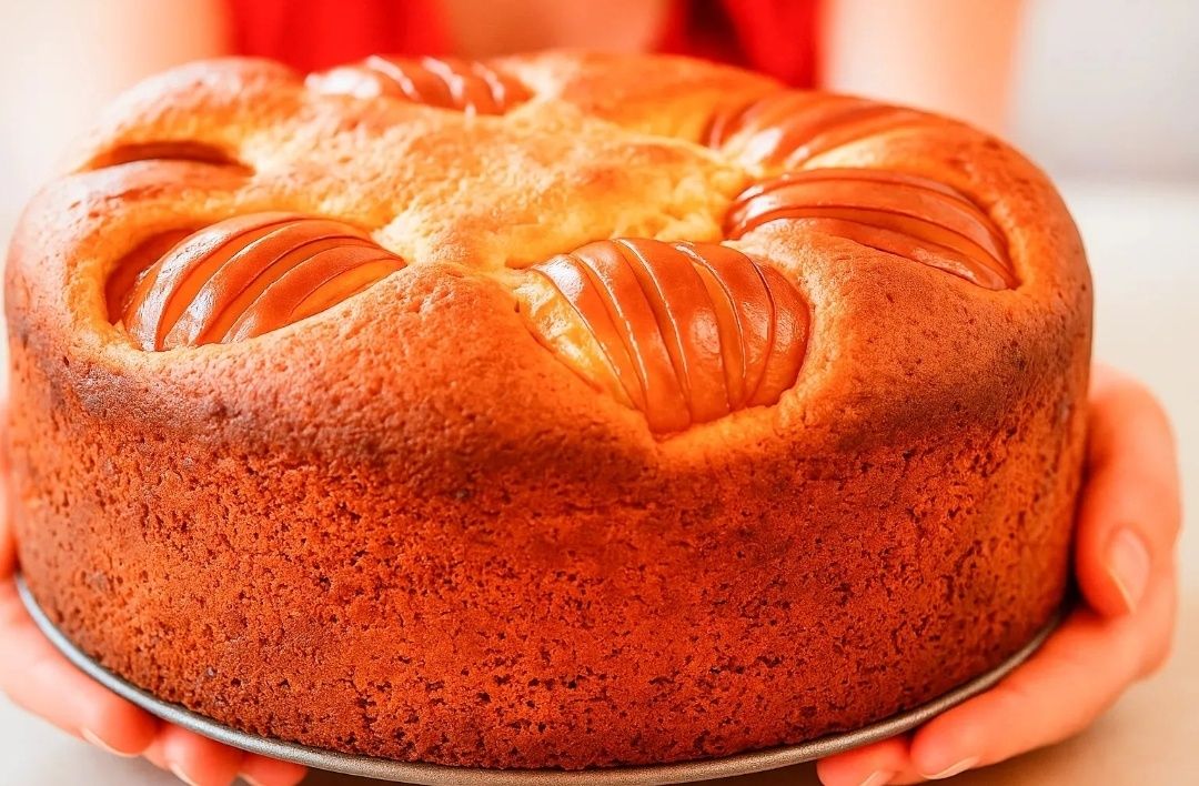 ������ �������� � ��������: ������� ���������� ������