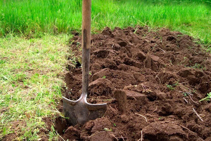 ��� ��������� ����������� ����� ������: ��������� ��� ��������?