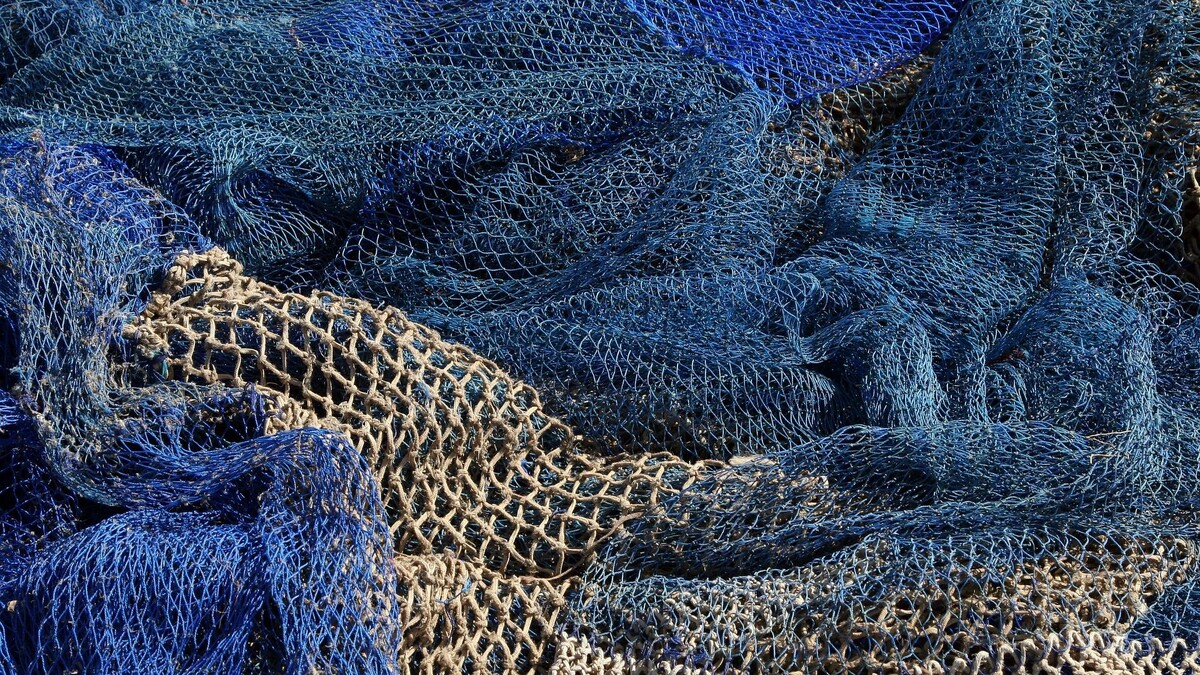 Поставки минтая в Россию достигли исторического рекорда