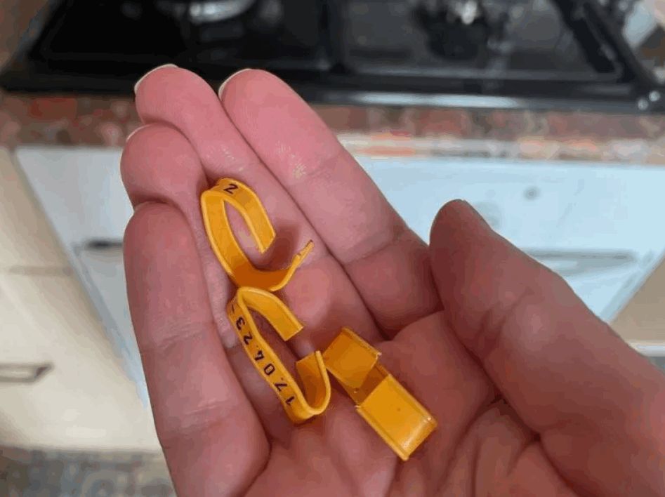 ������ ������ ��� ����� ����� ������ �� �����